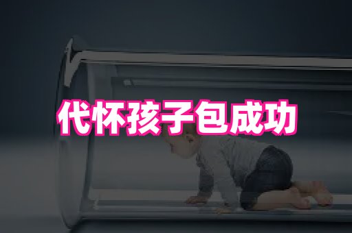 821孕网 1