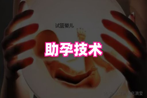 821孕网 2